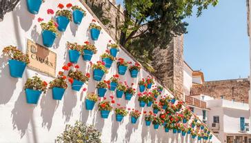 DICHTBIJ DE OUDE STAD