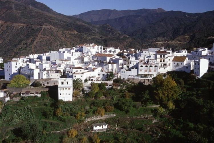 Puerto Azul Marbella | Marbella | 6