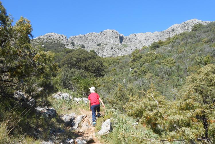 Puerto Azul Marbella | Marbella | 1